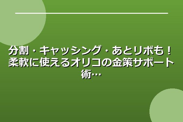 分割・キャッシング・あとリボも！柔軟に使えるオリコの金策サポート術